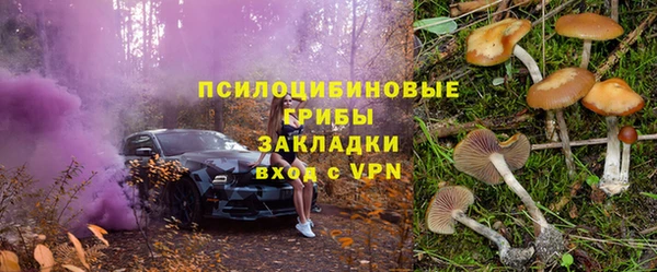 стафф Абаза