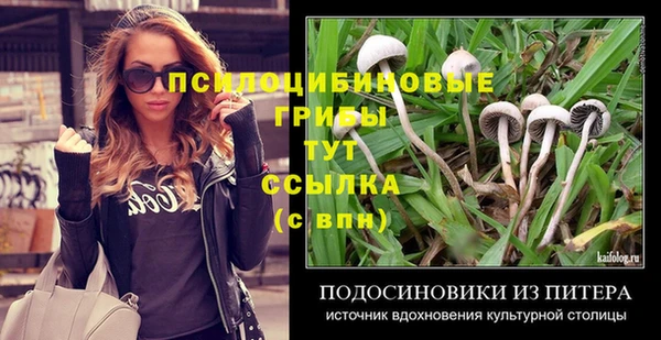 стафф Абаза
