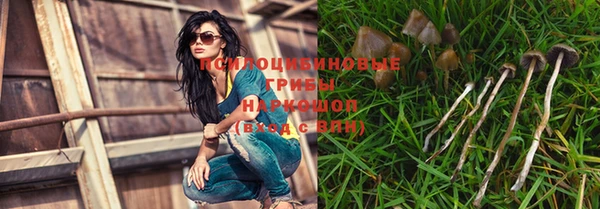 прущая мука Новозыбков